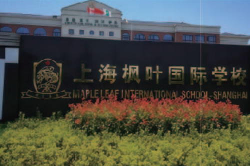 枫叶国际学校