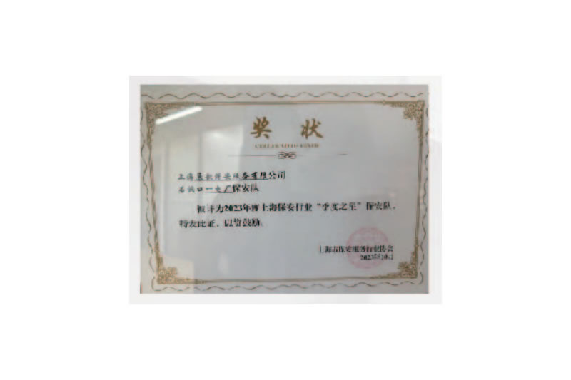 石洞口一电厂保安队(季度之星保安队)